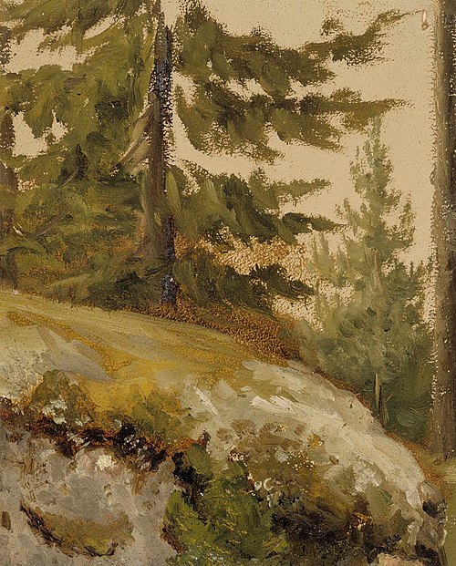 Metsännyppylä, luonnos, , Albert Edelfelt