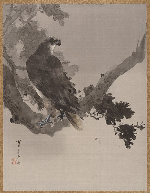 Eagle in a Tree, 1887, Watanabe Shōtei