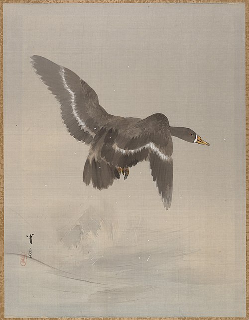 Flying Goose, 1887, Watanabe Shōtei