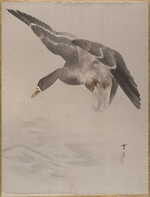 Duck, 1887, Watanabe Shōtei