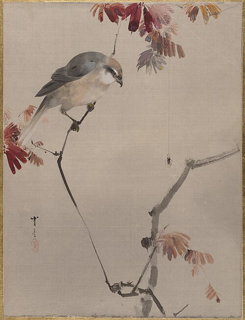 Bird on Branch Watching Spider, 1887, Watanabe Shōtei