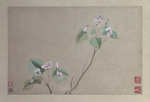 文俶花卉册, , Wen Shu