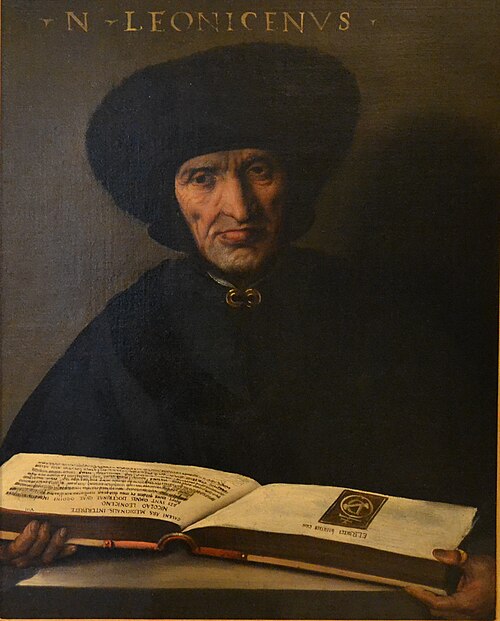 Ritratto di Niccolò Leoniceno, 1521, Dosso Dossi