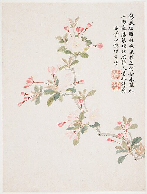 Crab-apple Blossom from a Flower Album of Ten Leaves, 1656, Xiang Shengmo