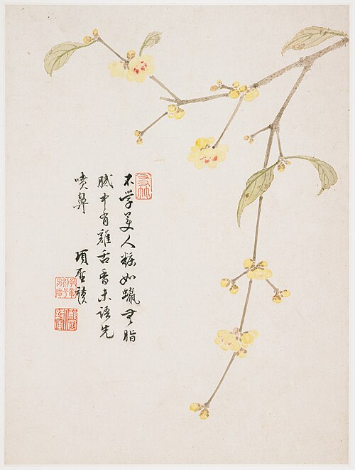 Wintersweet Blossom from a Flower Album of Ten Leaves, 1656, Xiang Shengmo