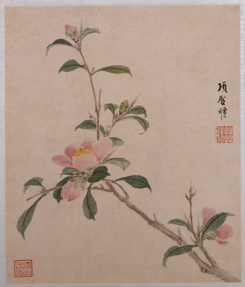 项圣谟花卉草虫册, , Xiang Shengmo