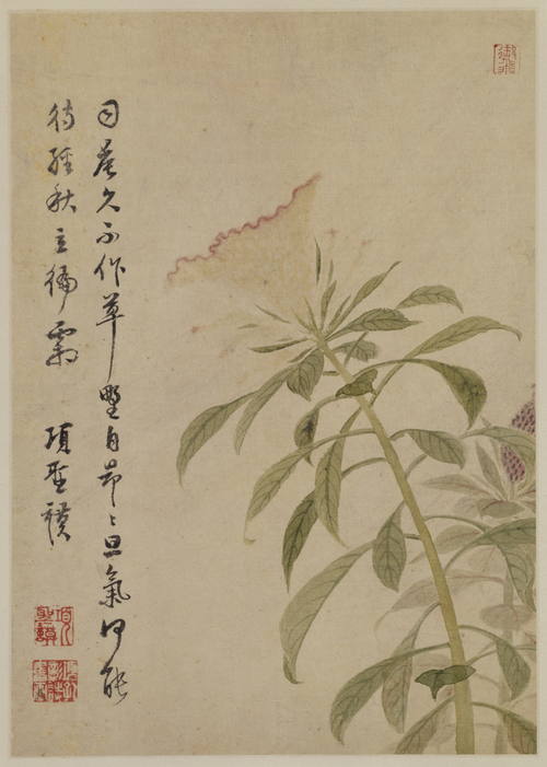 项圣谟山水花卉册, , Xiang Shengmo