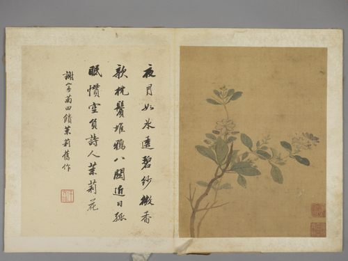 项圣谟花卉册, , Xiang Shengmo