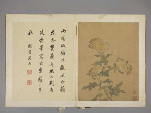 项圣谟花卉册, , Xiang Shengmo