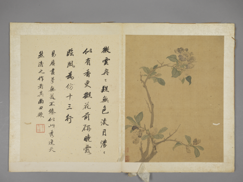 项圣谟花卉册, , Xiang Shengmo