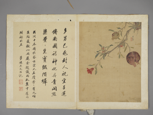 项圣谟花卉册, , Xiang Shengmo