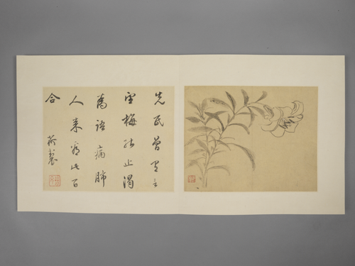 项圣谟花卉册, , Xiang Shengmo