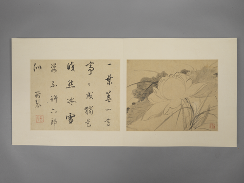 项圣谟花卉册, , Xiang Shengmo