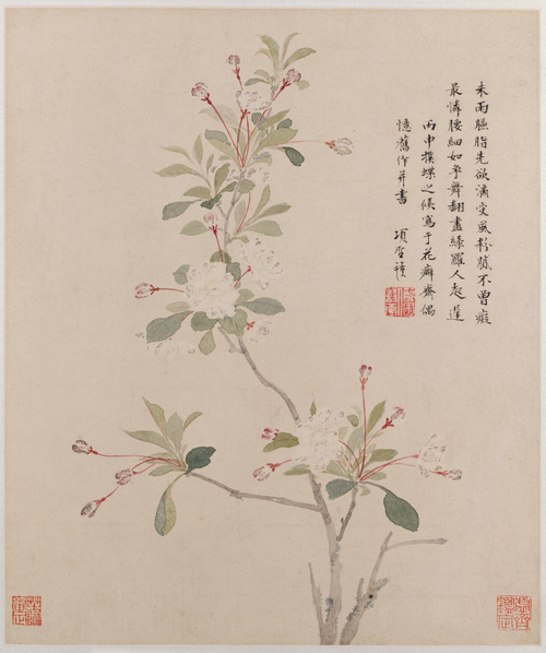 项圣谟花卉草虫册, , Xiang Shengmo