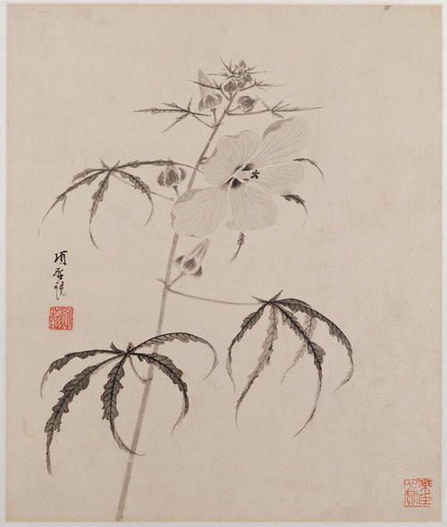 项圣谟花卉草虫册, , Xiang Shengmo