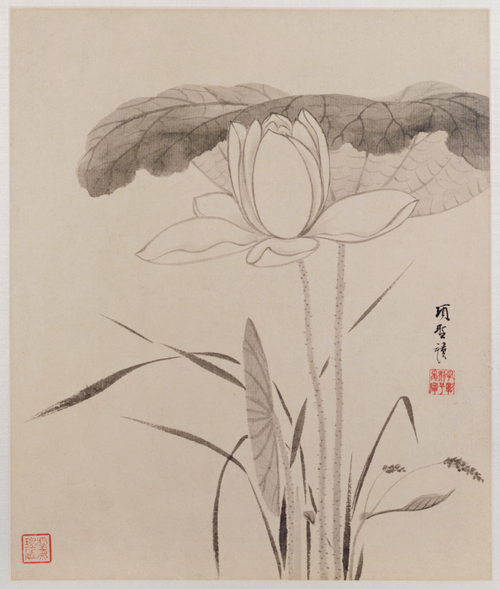 项圣谟花卉草虫册, , Xiang Shengmo