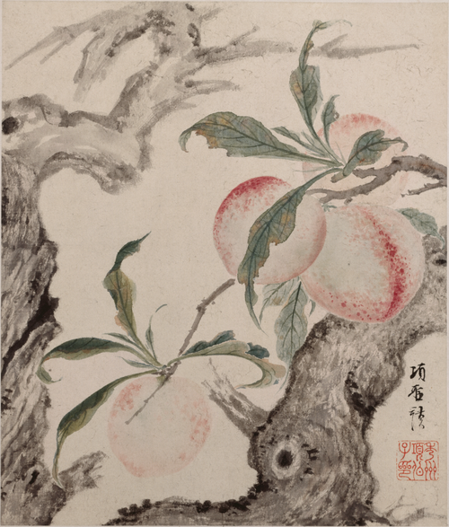 项圣谟花卉草虫册, , Xiang Shengmo
