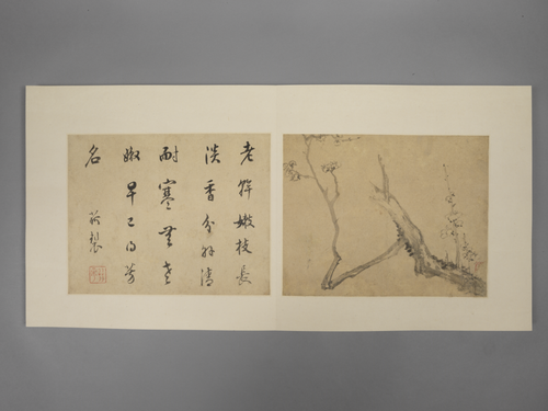 项圣谟花卉册, , Xiang Shengmo