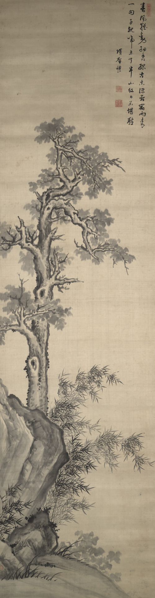 Wutong Tree, Bamboo, and Rock, , Xiang Shengmo