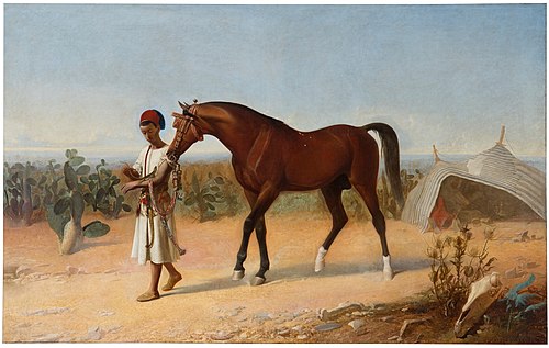 Joven marroquí llevando del diestro a un caballo, 1864, Marcelino de Unceta y López