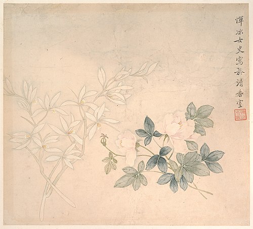 Flower Study, 1683, Yun Bing