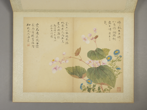 邹一桂花卉图册, , Zou Yigui