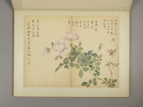 邹一桂花卉图册, , Zou Yigui