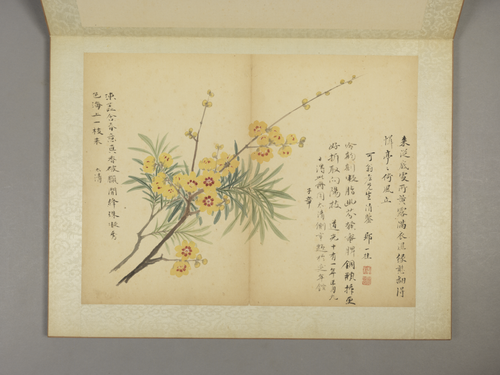 邹一桂花卉图册, , Zou Yigui
