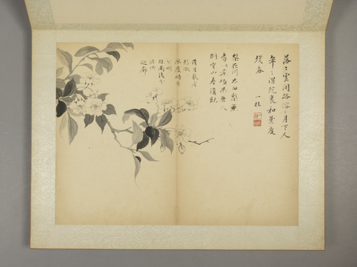 邹一桂花卉图册, , Zou Yigui
