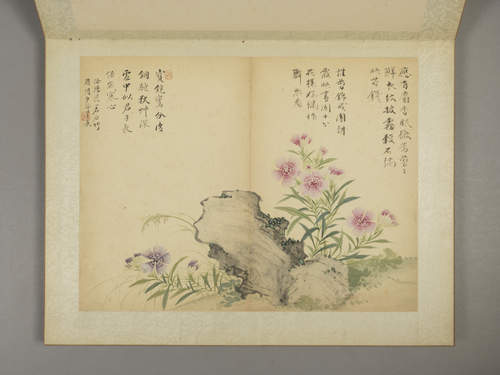 邹一桂花卉图册, , Zou Yigui