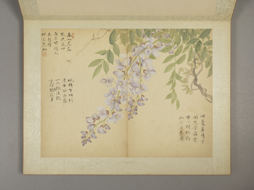 邹一桂花卉图册, , Zou Yigui