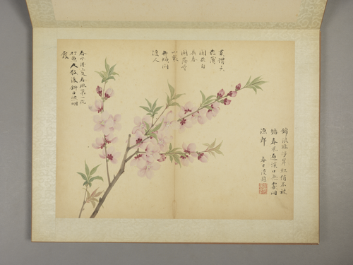 邹一桂花卉图册, , Zou Yigui