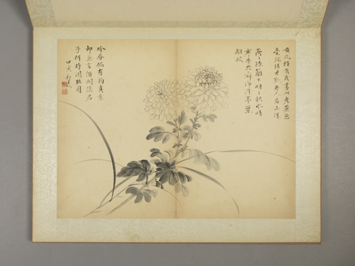 邹一桂花卉图册, , Zou Yigui