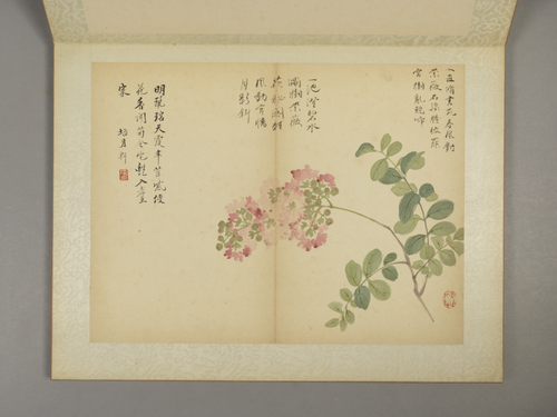 邹一桂花卉图册, , Zou Yigui