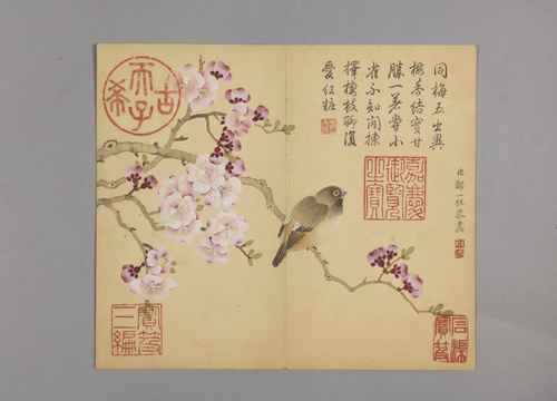 邹一桂花鸟草虫图册, , Zou Yigui