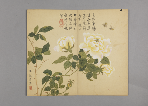 邹一桂花鸟草虫图册, , Zou Yigui