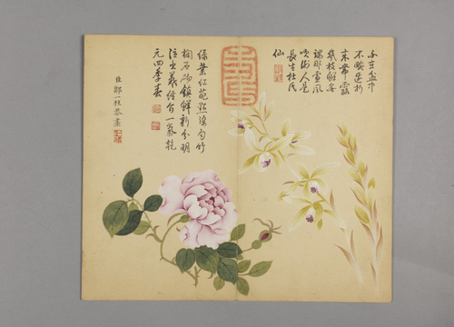邹一桂花鸟草虫图册, , Zou Yigui