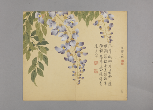 邹一桂花鸟草虫图册, , Zou Yigui