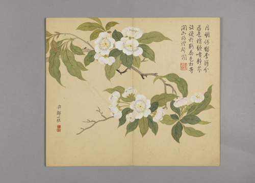 邹一桂花鸟草虫图册, , Zou Yigui
