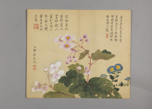 邹一桂花鸟草虫图册, , Zou Yigui
