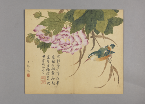 邹一桂花鸟草虫图册, , Zou Yigui