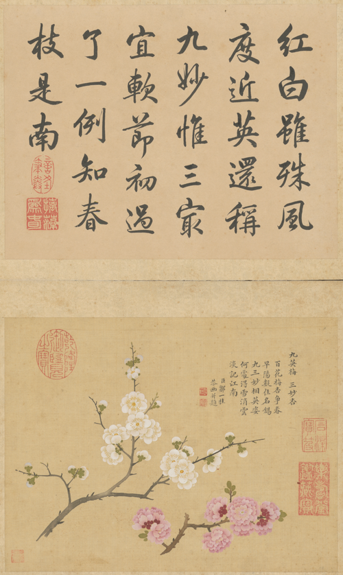邹一桂联芳谱图册, , Zou Yigui
