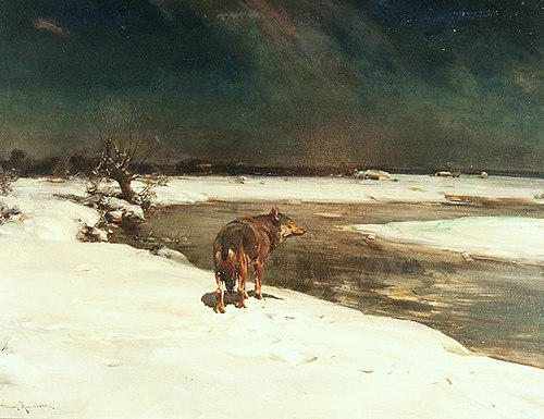 Le loup solitaire., , Alfred von Kowalski-Wierusz