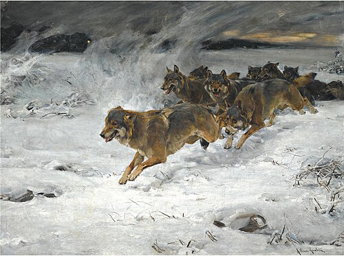 Meute de loups, , Alfred von Kowalski-Wierusz