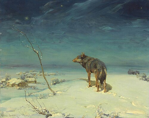 Loup solitaire, , Alfred von Kowalski-Wierusz