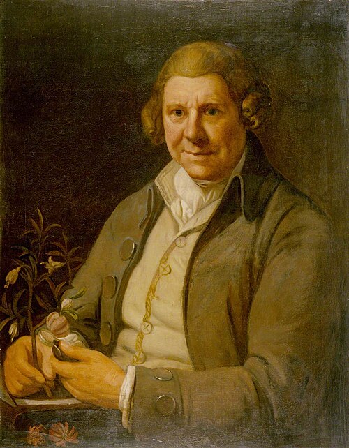 William Aiton (1731–1793), Holding a Plant (species of Aitonia) in His Right Hand and a Hand Lens in, 1786, George Engleheart