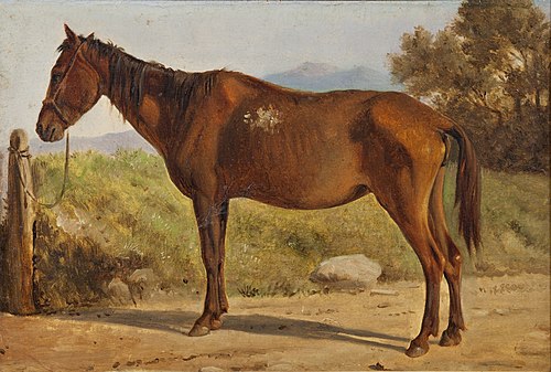 Rosinante, 1847, Wilhelm Marstrand
