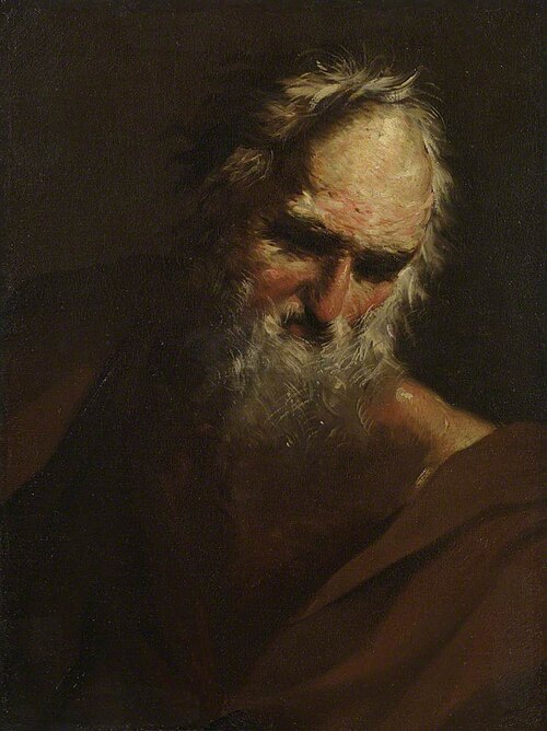 Head of a Bearded Man, 1660, Salvator Rosa