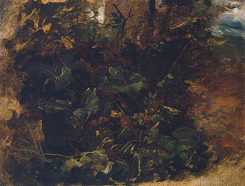 Study of Burdock and other Plants, 1809, Peter De Wint