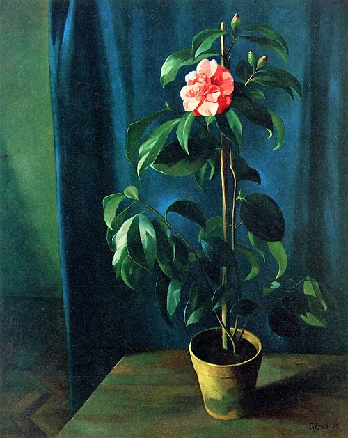 Camellia, 1924, Adolf Erbslöh